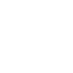 analytics 256