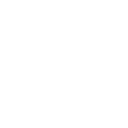 services 256